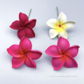 3 "Coire de cheveux de fleur de plumeria de 3" à la main Plumeria